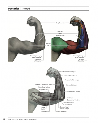 Screenshot 2025-11-03 at 11.41.45 AM